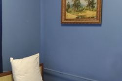 Tarleon Mini-Hotel (4)