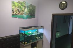 Tarleon Mini-Hotel (6)