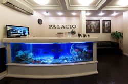 Palacio (5)