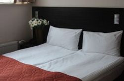 Hotel Elokhovsky City (3)