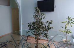 Tarleon Mini-Hotel (22)