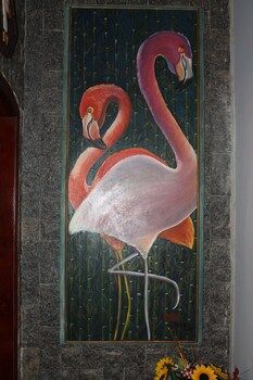 Pousada Flamingo