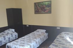 Tarleon Mini-Hotel (38)