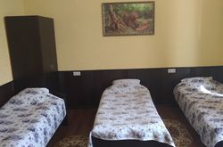 Tarleon Mini-Hotel (39)