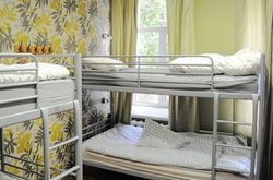 Godzillas Hostel (14)