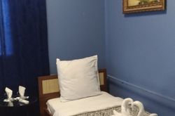 Tarleon Mini-Hotel (48)