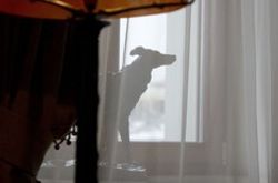 Russo-Balt Hotel (13)