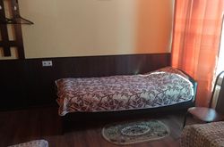 Tarleon Mini-Hotel (57)