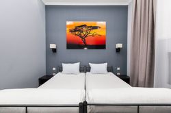 Hotel Brusnika Polezhaevskaya (50)