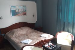 Tarleon Mini-Hotel (65)