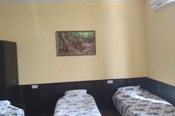 Tarleon Mini-Hotel (73)