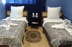 Tarleon Mini-Hotel (82)