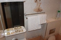 Tarleon Mini-Hotel (93)