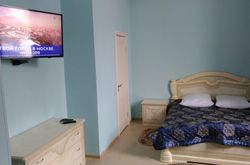 Tarleon Mini-Hotel (95)