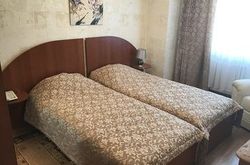 Hotel Troparevo (10)