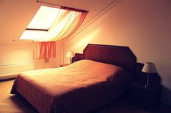 Hotel Monplaisir (4)