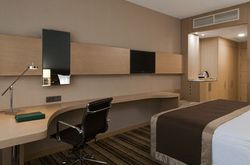 DP Park Izmailovo Moscow (11)