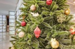 Palmira Business Club (17)