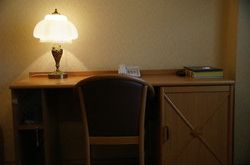 Danilovskaya Hotel (38)