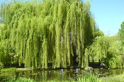 Danilovskaya Hotel (44)