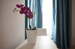 Umma Barcelona Bed & Breakfast Boutique (19)