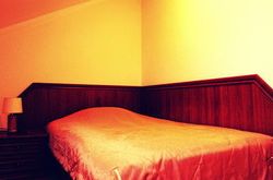 Hotel Monplaisir (34)