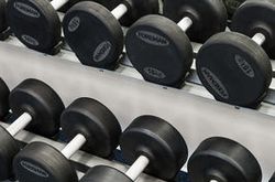 Best Western Plus Vega Hotel & Convention Center (81)