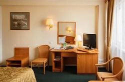 Best Western Plus Vega Hotel & Convention Center (99)