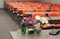 IZMAILOVO DELTA (11)