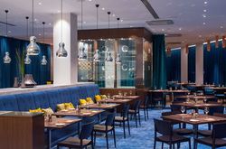 RADISSON BLU HOTEL MOSCOW SHEREMETYEVO AIRPORT (22)