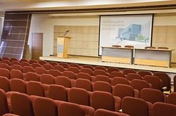 IZMAILOVO DELTA (25)