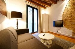 BORNE DOWN TOWN APARTMENTS (25)