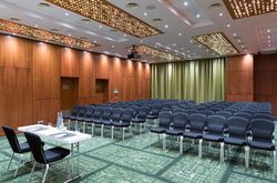 RADISSON BLU HOTEL MOSCOW SHEREMETYEVO AIRPORT (43)