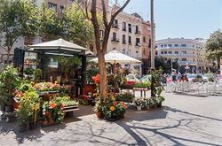 FEELATHOME PLAZA APARTMENTS (51)